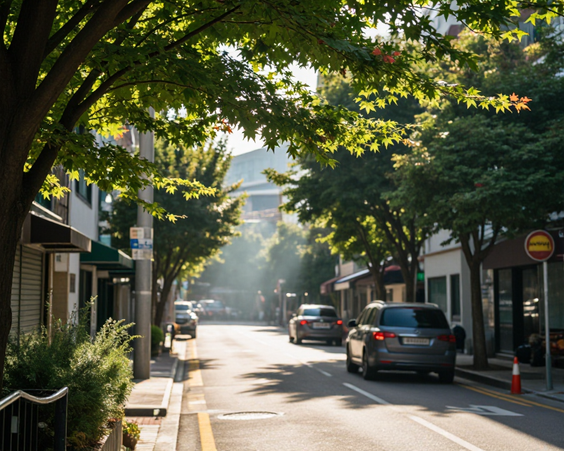 Summer Heat in Seoul