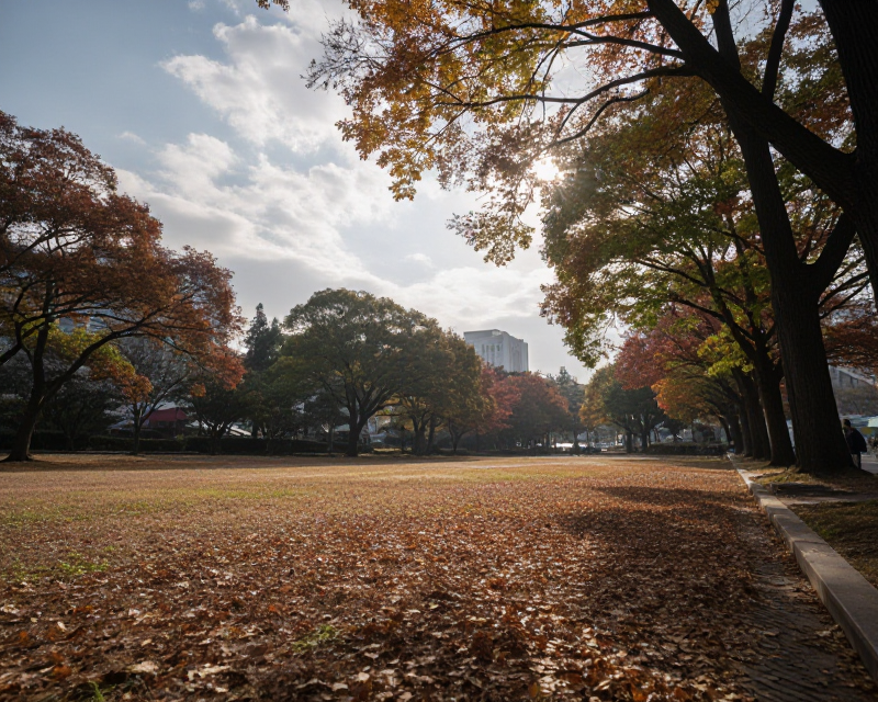 Autumn Morning in South Korea